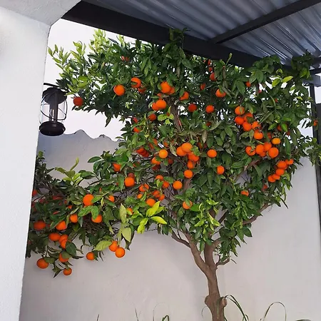 La Covacha - Unique Town House With Exclusive Pool And Garden In The Heart Of The Village Canillas de Aceituno